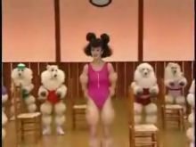 Poodle Fitness