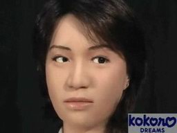 Lifelike Japanese Robot