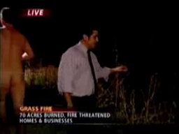 Streaker On Live News