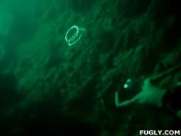 Under Water Air Rings